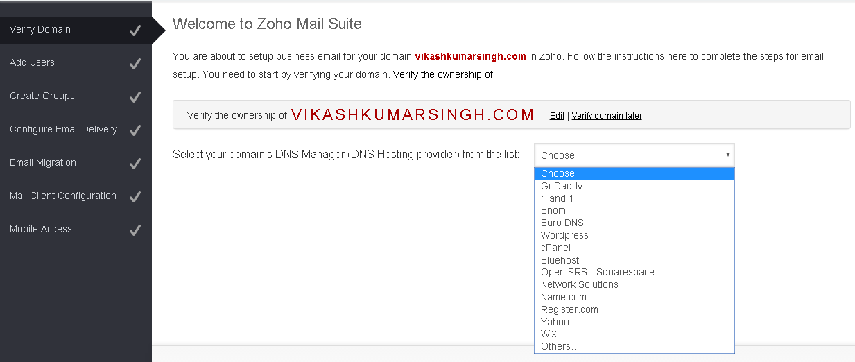 Zoho Select DNS Provider