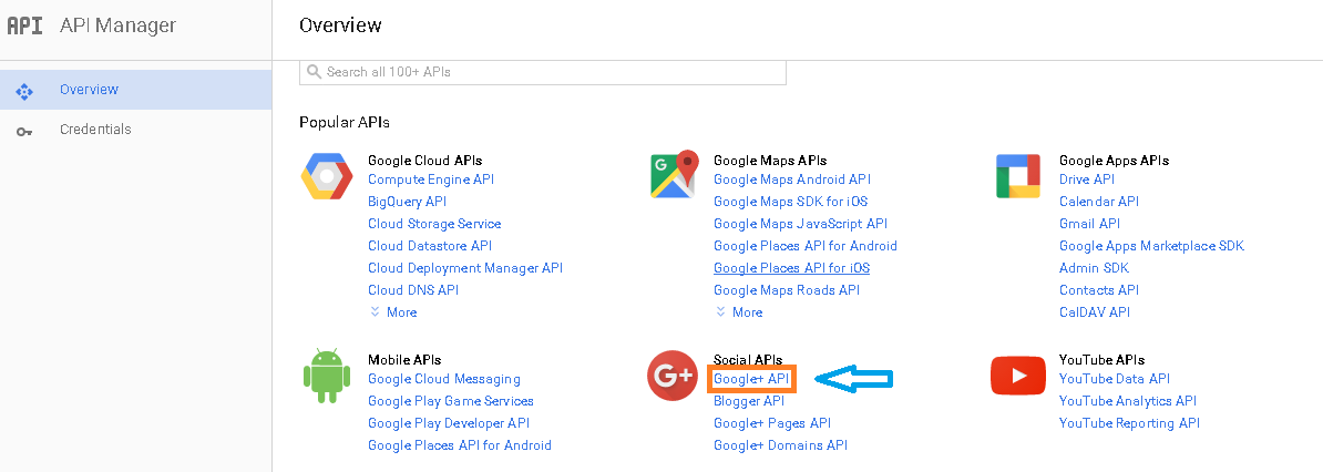 Google API