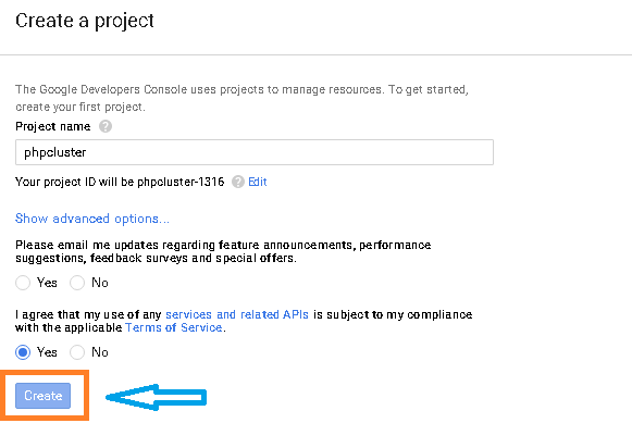 Project Name